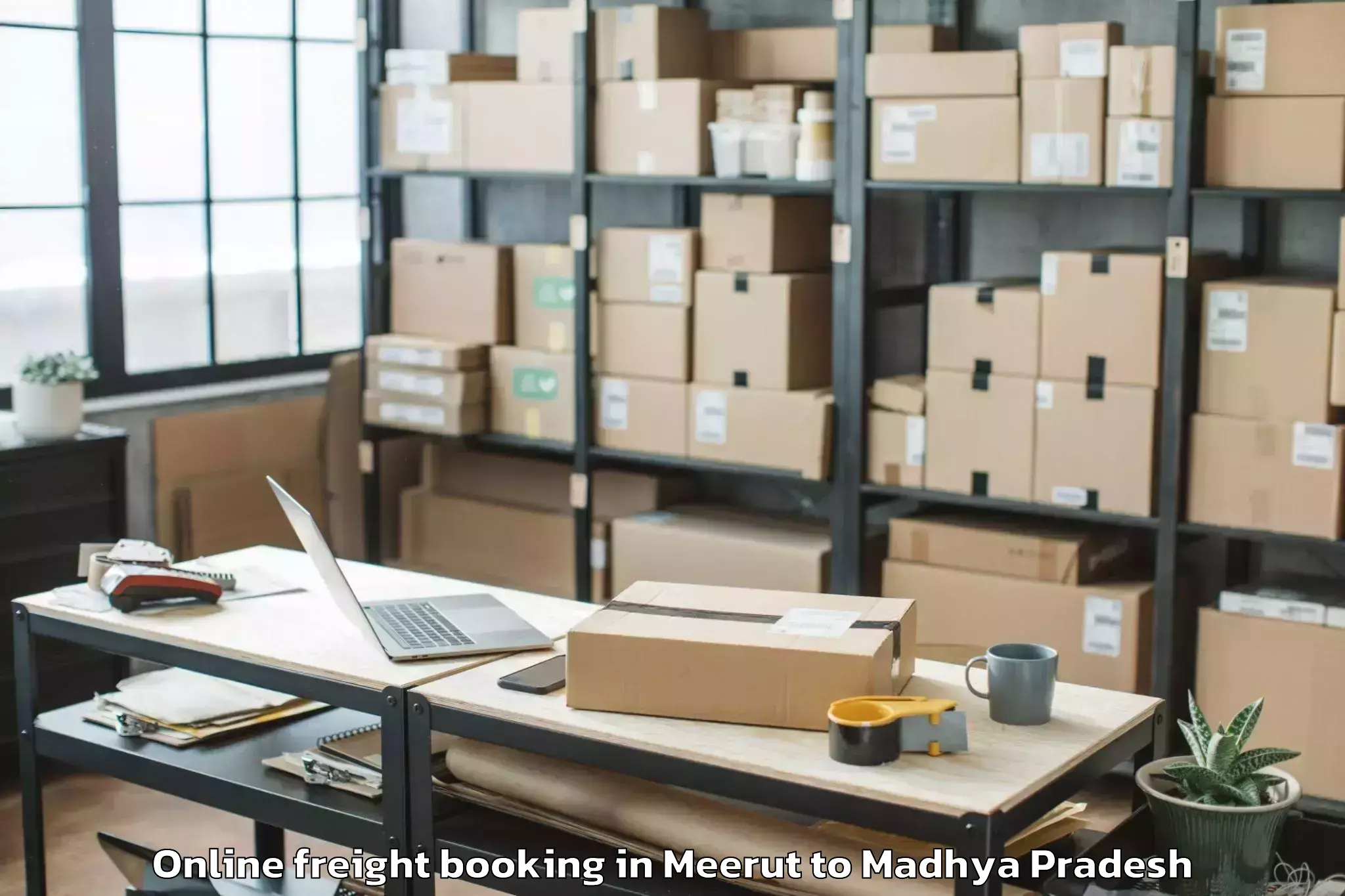 Meerut to Punasa Online Freight Booking